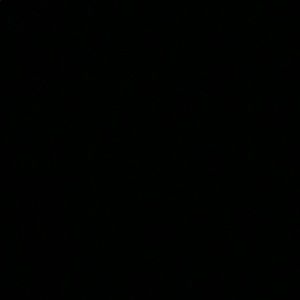 Meet your Posher, Mia